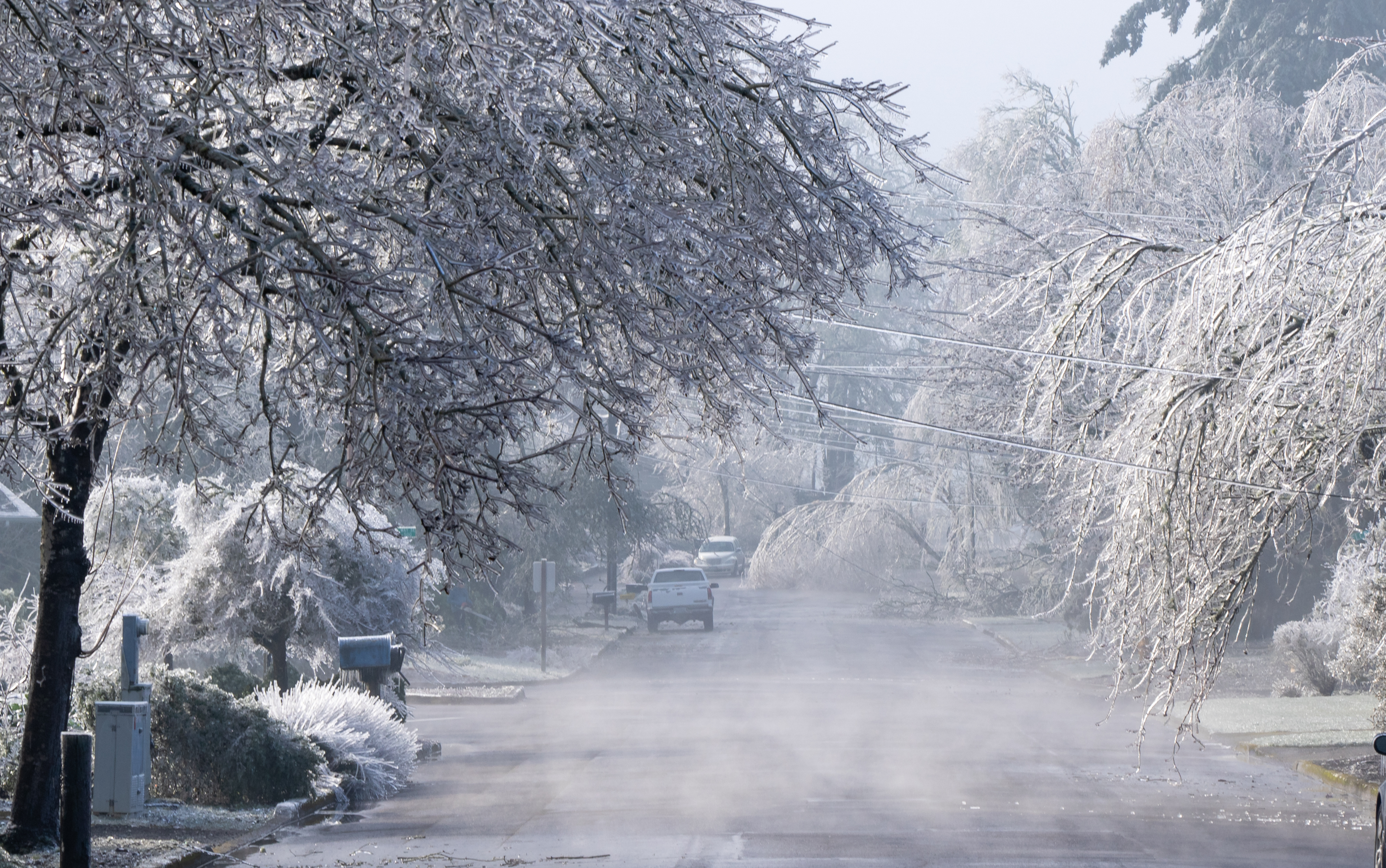 La tempête de glace est un phénomène catastrophique responsable d'accidents et qui fait des victimes en Amérique du Nord. © Bob, Adobe Stock