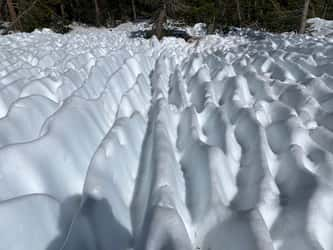 Des suncups photographiés sur les montagnes du parc Yosemite en Californie, USA. © Beth Pratt